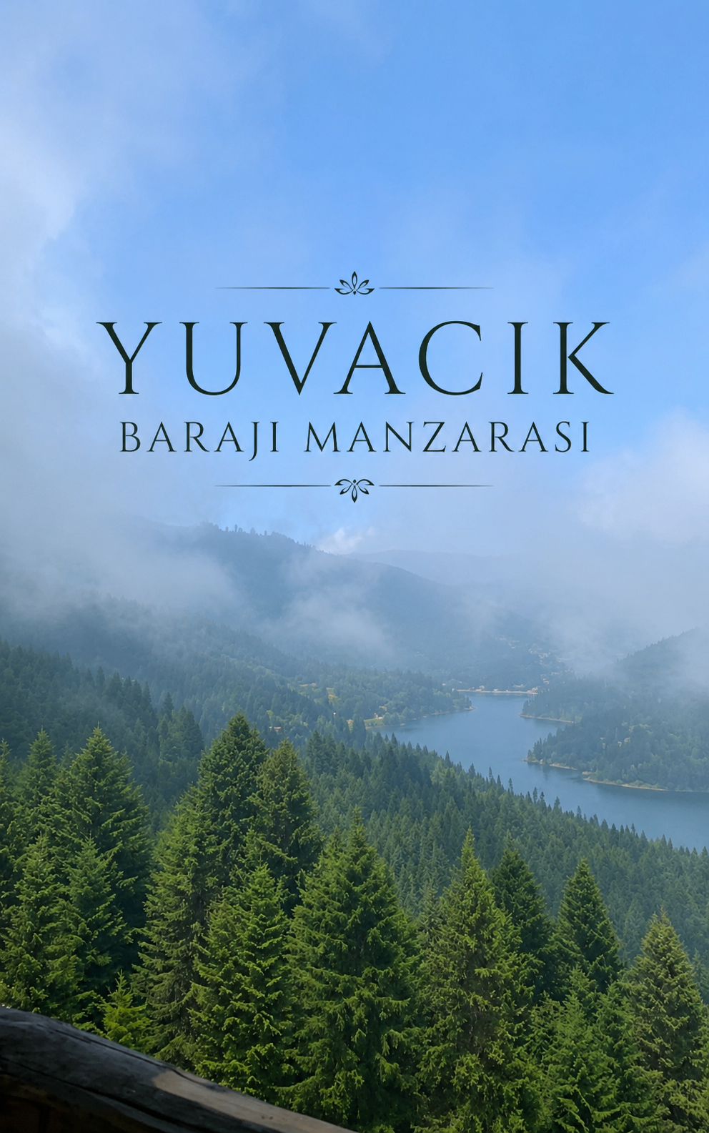 Çam ormanının içinden geçen nehir